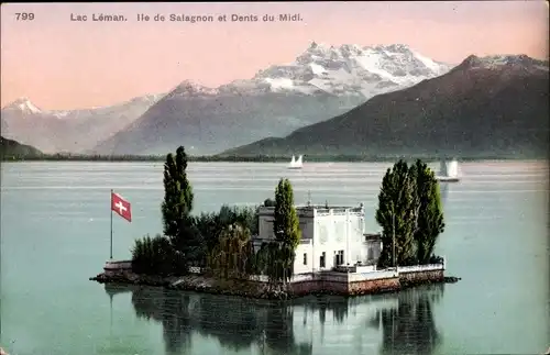 Ak Montreux Kanton Waadt Schweiz, Île de Salagnon, Lac Léman