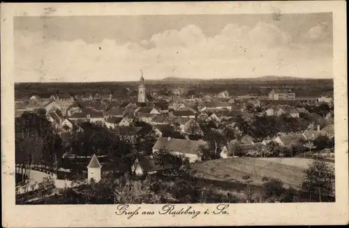 Ak Radeburg Sachsen, Panorama des Ortes