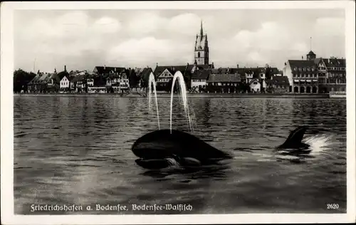 Ak Friedrichshafen am Bodensee, Walfisch, Wasserblick zum Ort