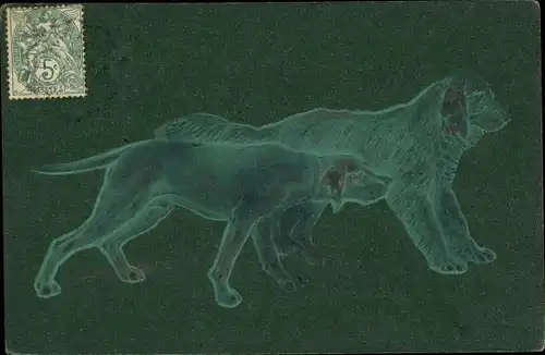 Präge Litho Zwei Hunde, Tierportrait