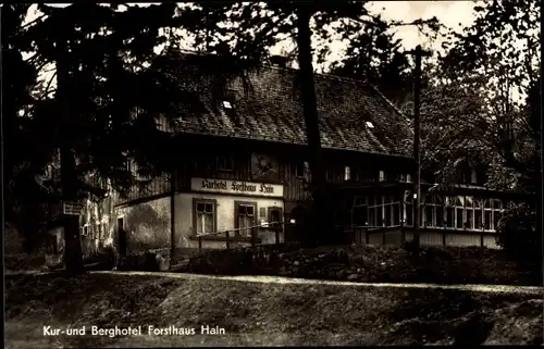 Ak Hain Hayn Oybin Oberlausitz, Kur- und Berghotel Forsthaus Hain