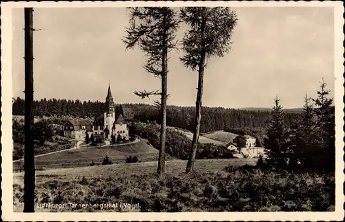 Ak Tannenbergsthal im Vogtland, Panorama