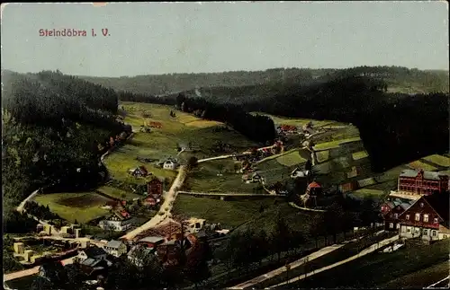 Ak Steindöbra Sachsenberg Georgenthal Klingenthal im Vogtland, Panorama