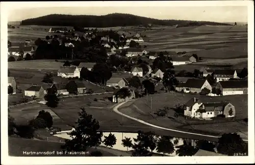 Ak Hartmannsdorf Reichenau im Erzgebirge, Ortsansicht