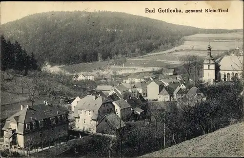 Ak Bad Gottleuba in Sachsen, Ortsansicht