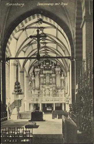Ak Merseburg an der Saale, Dominneres mit Orgel