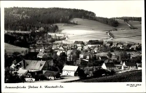 Ak Polenz Neustadt in Sachsen, Panorama