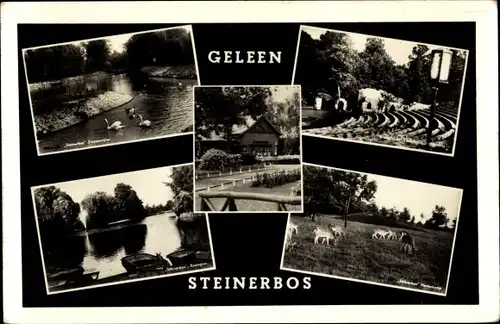 Ak Geleen Limburg Niederlande, Steinerbos