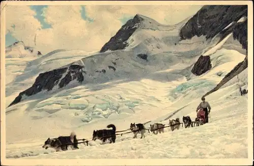 Ak Kanton Bern, Jungfraubahn, Schlittenfahrt mit Polarhunden auf Jungfraujoch, Gletscherhorn