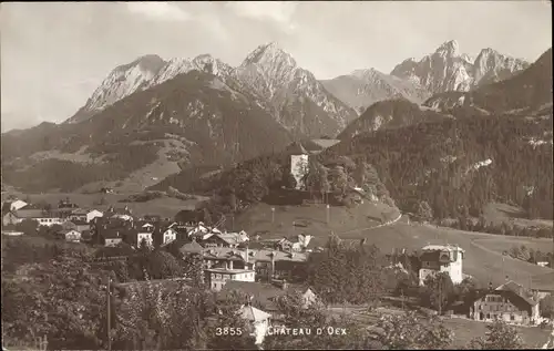 Ak Château d'Œx Oex Kanton Waadt, Totalansicht, Bergpanorama