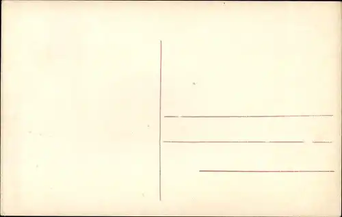 Ak Château d'Œx Oex Kanton Waadt, Totalansicht, Bergpanorama