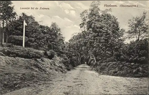 Ak Heelsum Gelderland Niederlande, Laantje bij de Zalmen