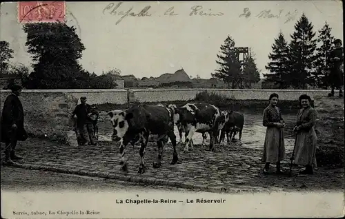 Ak La Chapelle la Reine Seine et Marne, Le Réservoir, Vaches