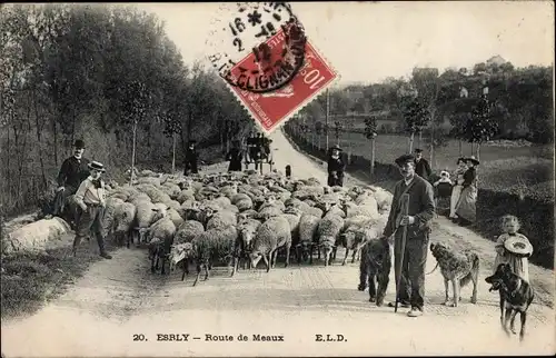 Ak Esrly Seine-et-Marne, Route de Meaux