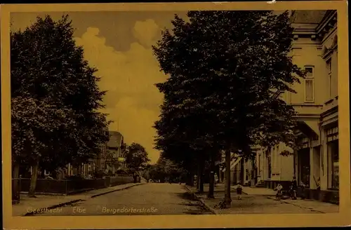 Ak Geesthacht an der Elbe, Bergedorferstrasse