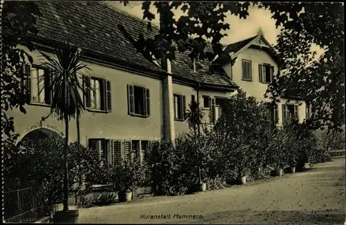Ak Mammern Kanton Thurgau, Kuranstalt
