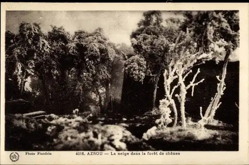 Ak Azrou Marokko, La neige dans la forèt de chênes
