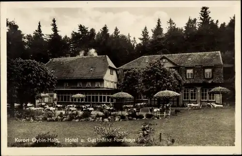 Ak Hain Hayn Oybin Oberlausitz, Hotel und Gaststätte Forsthaus