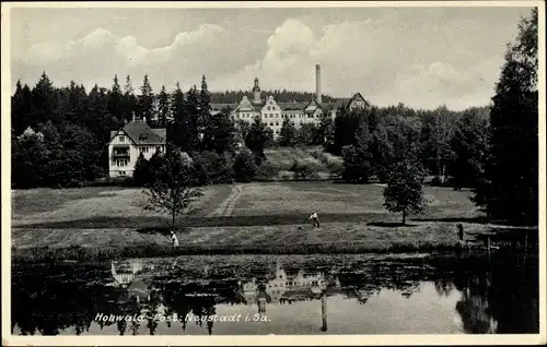 Ak Hohwald Neustadt in Sachsen, Ortspartie