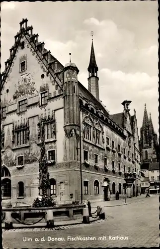 Ak Ulm an der Donau, Fischkasten mit Rathaus