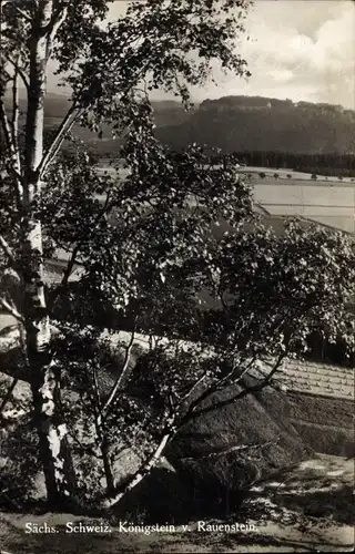 Ak Königstein an der Elbe Sächsische Schweiz, Vom Rauenstein gesehen