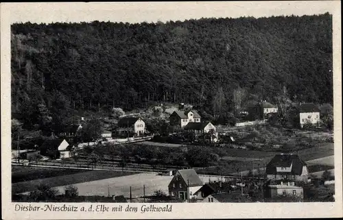 Ak Nieschütz Diera Zehren in Sachsen, Teilansicht mit dem Golkwald