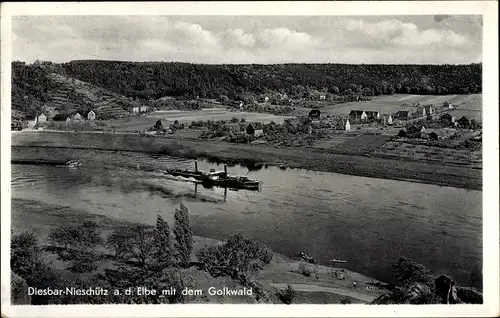 Ak Nieschütz Diera Zehren a.d. Elbe, Ortschaft und Golkwald, Diesbar