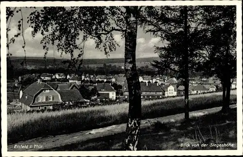 Ak Eisfeld in Thüringen, Blick von der Siegeshöhe