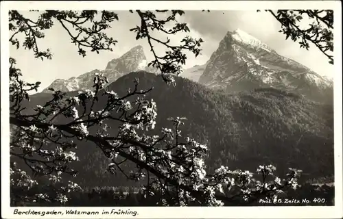 Ak Berchtesgaden in Oberbayern, Watzmann im Frühling
