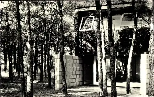 Ak Hapert Nordbrabant, Het Vennenbos