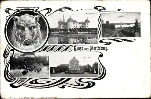 Ak Moritzburg in Sachsen, Kgl. Jagdschloss, Wildschwein, Palais