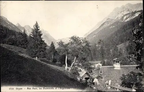 Ak Gryon Kanton Waadt, Aux Pars, les Diablerets et l'Argentine
