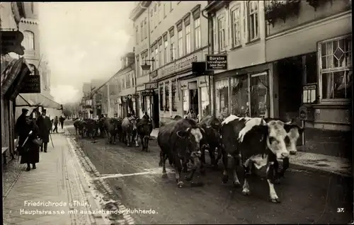 Ak Friedrichroda im Thüringer Wald, Hauptstraße mit ausziehender Kuhherde, Lichtspiele, Julius Dertz