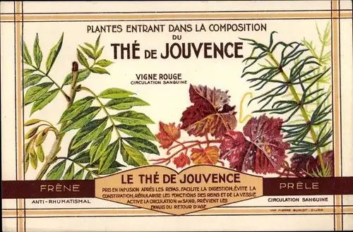 Präge Ak Reklame, Plantes entrant dans la Composition du The de Jouvence