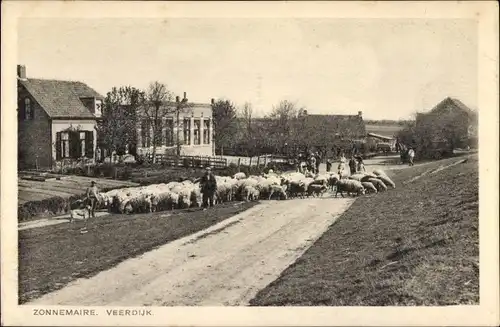 Ak Zonnemaire Zeeland, Veerdijk