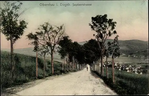 Ak Olbernhau im Erzgebirge, Saydaerstraße