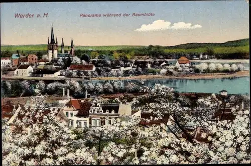 Ak Werder Havel, Panorama während der Baumblüte, Kirche