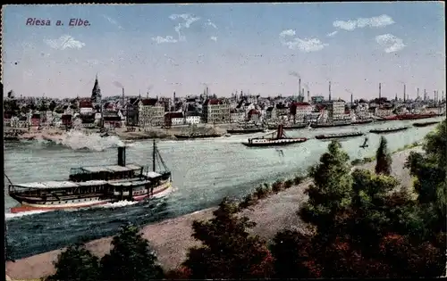 Ak Riesa an der Elbe Sachsen, Totalansicht, Elbe, Dampfer