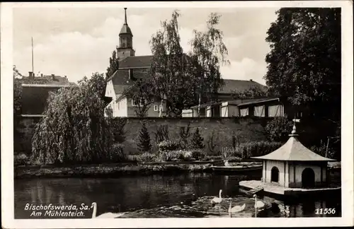 Ak Bischofswerda in Sachsen, Am Mühlenteich