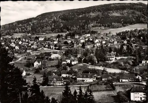 Ak Jonsdorf in Sachsen, Panorama mit Jonsberg