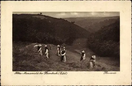 Ak Heimbach in der Eifel, Abtei Mariawald, Heuernte