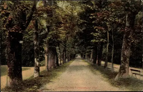 Ak Baden Baden am Schwarzwald, Lichtenthaler Allee