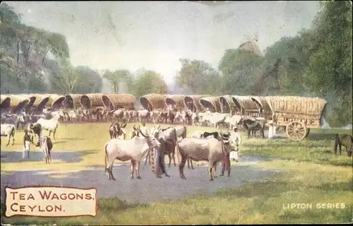 Ak Ceylon Sri Lanka, Tea Wagons, Lipton Series