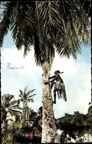 Ak Ruanda, Mann klettert einen Baum hoch