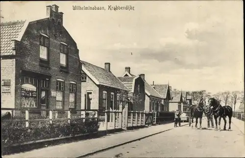 Ak Krabbendijke Zeeland, Wilhelminabaan, Pferde