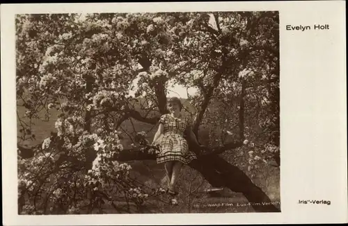 Ak Schauspielerin Evelyn Holt, sitzend auf einem Baum