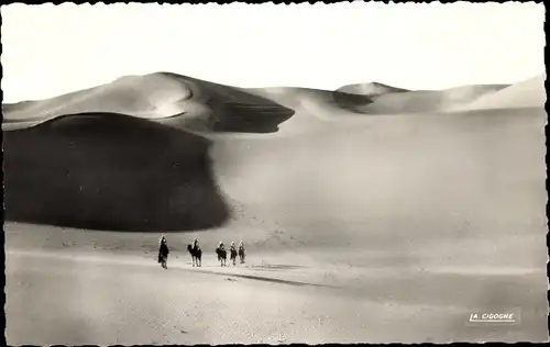 Ak Algerien, Collection Saharienne, Dans l'immensite des sables, Wüste, Karawane