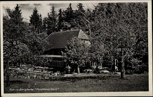 Ak Hain Hayn Oybin in der Oberlausitz, Kur- und Berghotel Forsthaus Hain