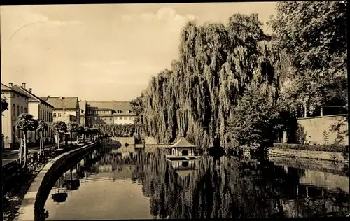 Ak Bischofswerda in Sachsen, Am Mühlteich