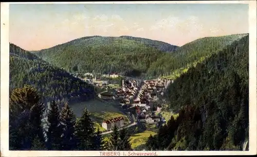 Ak Triberg im Schwarzwald, Blick auf den Ort mit umliegender Landschaft, Wald